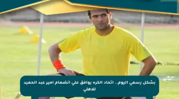 بشكل رسمي اليوم.. اتحاد الكرة يوافق على انضمام أمير عبد الحميد للأهلي
